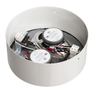 DL-A-AB 06-100T- EN54 REAR   300 X