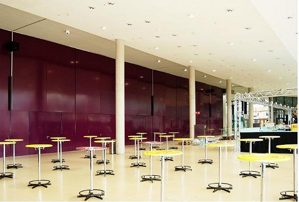 ZVOCNIKI NEOFOCUS REFERENC 02   600 X